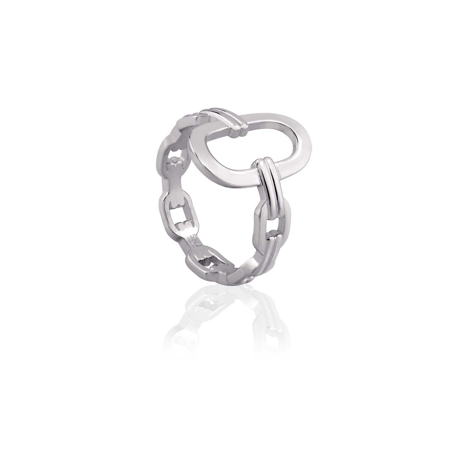 Dual Links Chain Ring