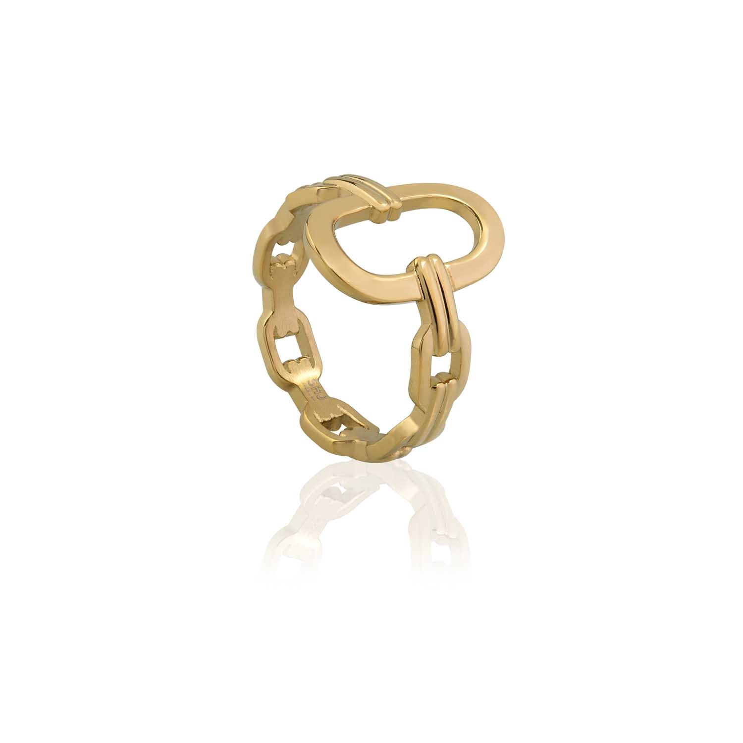 Dual Links Chain Ring